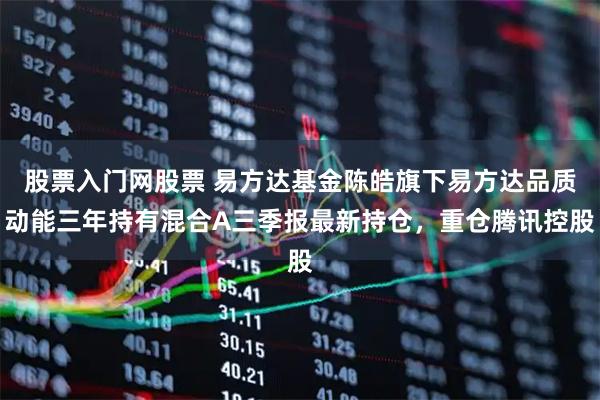 股票入门网股票 易方达基金陈皓旗下易方达品质动能三年持有混合A三季报最新持仓，重仓腾讯控股