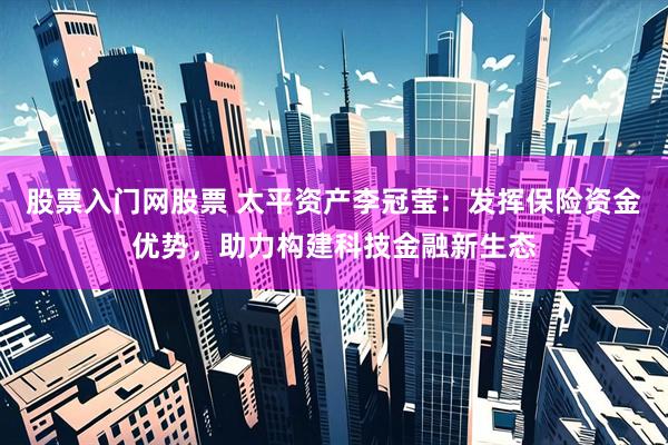 股票入门网股票 太平资产李冠莹：发挥保险资金优势，助力构建科技金融新生态