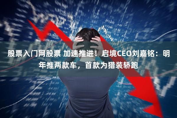 股票入门网股票 加速推进！启境CEO刘嘉铭：明年推两款车，首款为猎装轿跑