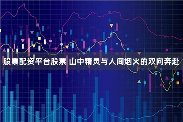 股票配资平台股票 山中精灵与人间烟火的双向奔赴