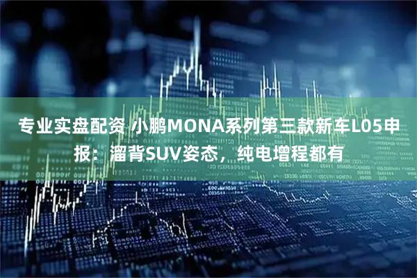 专业实盘配资 小鹏MONA系列第三款新车L05申报：溜背SUV姿态，纯电增程都有